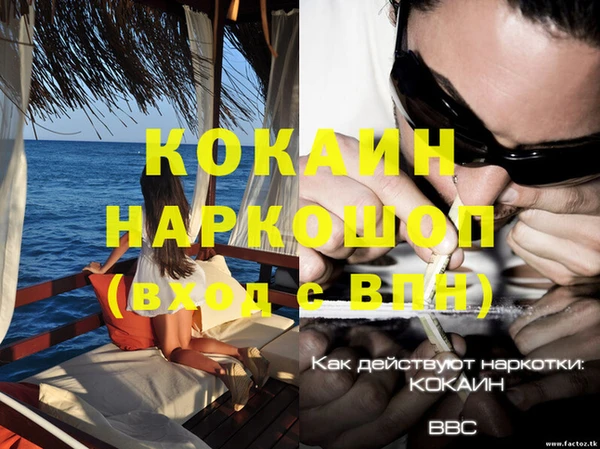 ПСИЛОЦИБИНОВЫЕ ГРИБЫ Покачи